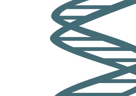 Kortlægning af kunderelationens DNA