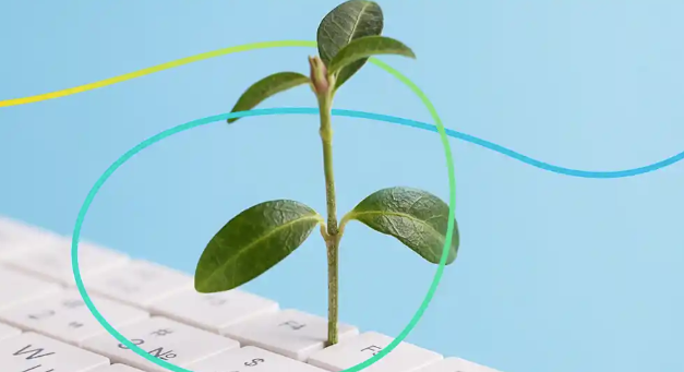 Få succes med dine tilbud – sådan opfylder du ESG-krav i udbudsmaterialet.